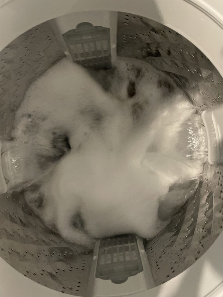 泡洗浄画像