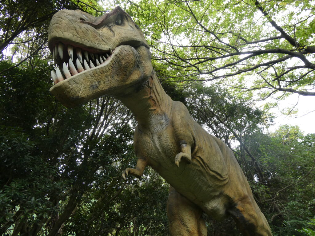 ティラノサウルス写真