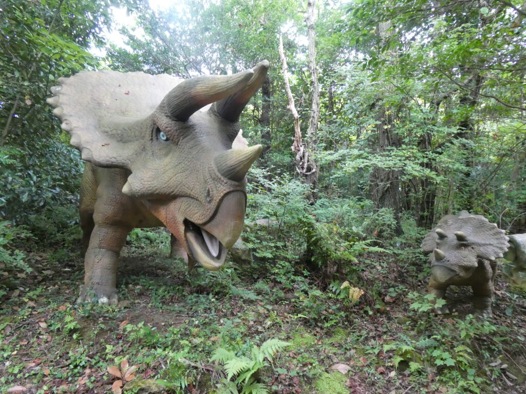トリケラトプス写真