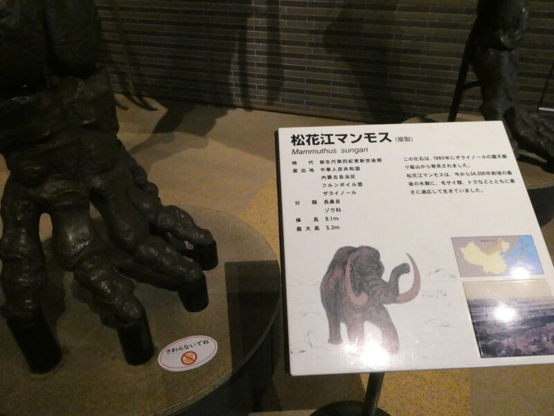 松花江マンモスの案内